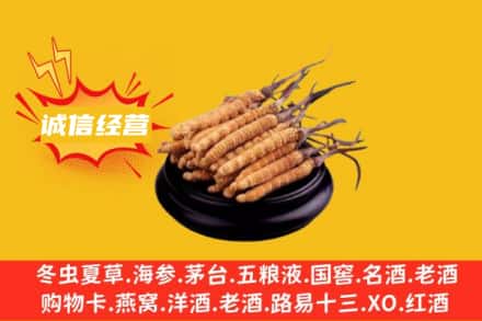 河池市罗城回收冬虫夏草